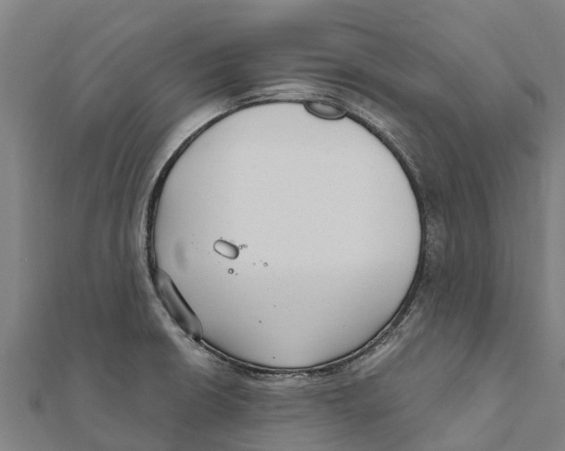 X0000111591426200908131330