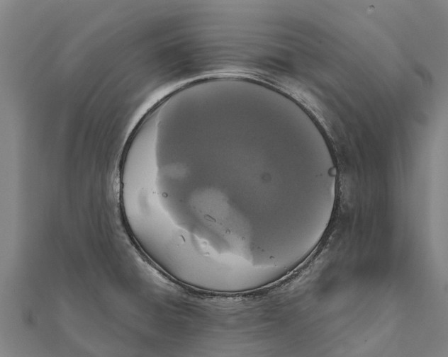 X0000111591428200908131331