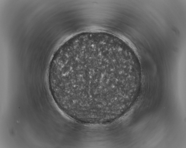 X0000111591429200908131331