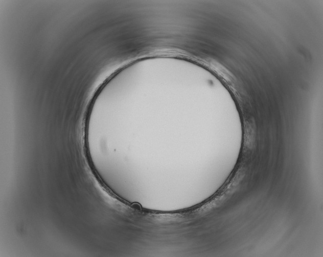 X0000111591430200908131331