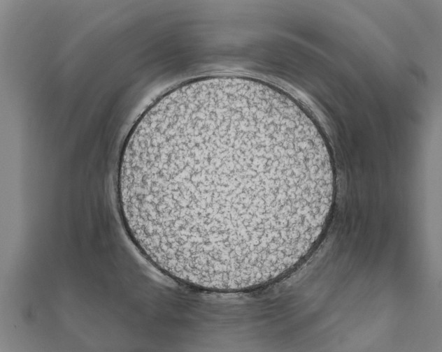 X0000111591432200908131331