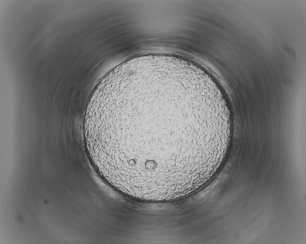 X0000111591433200908131331