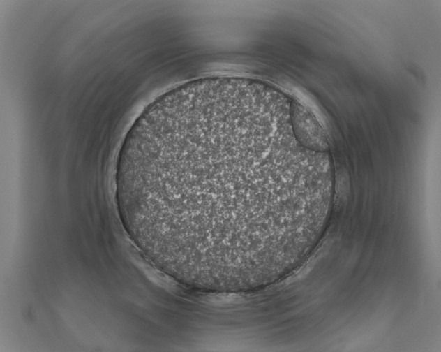X0000111591435200908131331