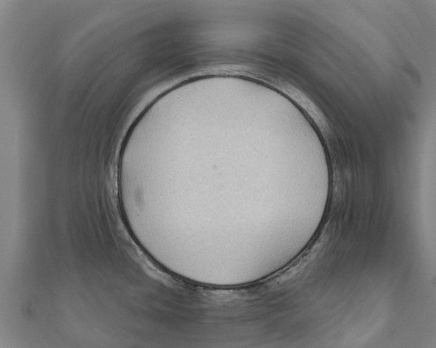 X0000111591436200908131331