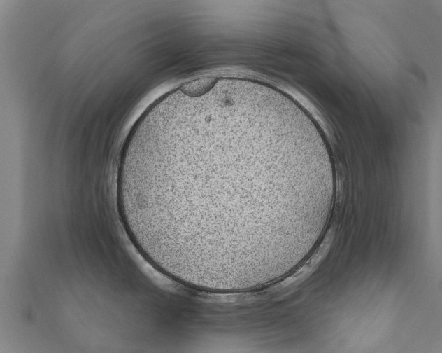 X0000111591438200908131331