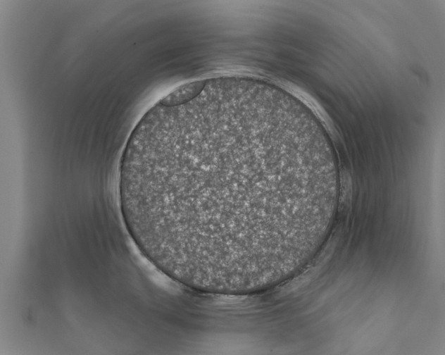 X0000111591439200908131331