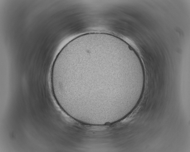 X0000111591440200908131331