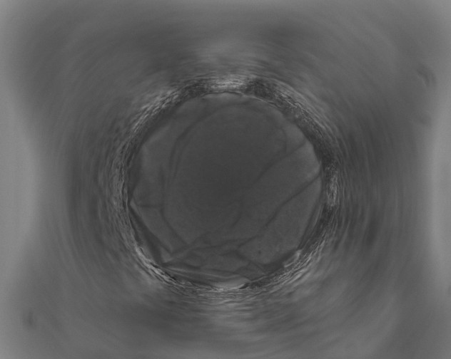 X0000111591441200908131330