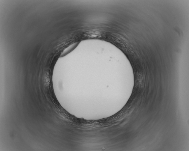 X0000111591442200908131330