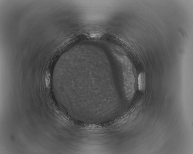 X0000111591443200908131330