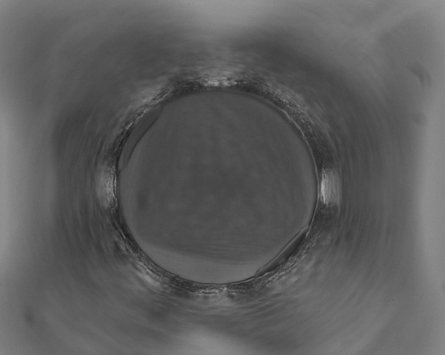 X0000111591444200908131330