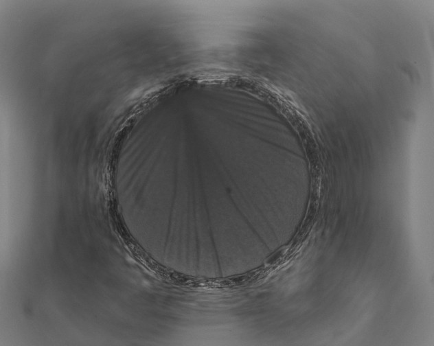 X0000111591445200908131330