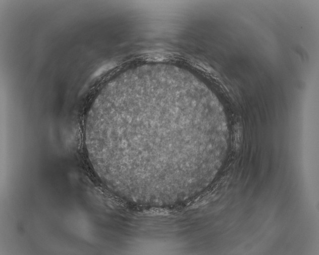 X0000111591446200908131330