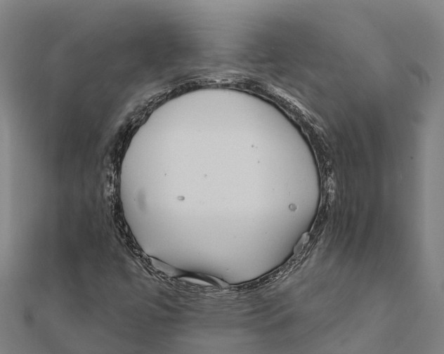 X0000111591447200908131330