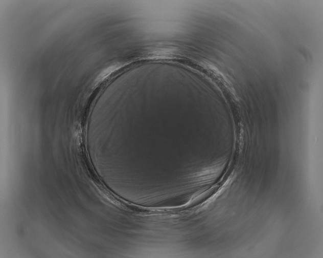 X0000111591449200908131330