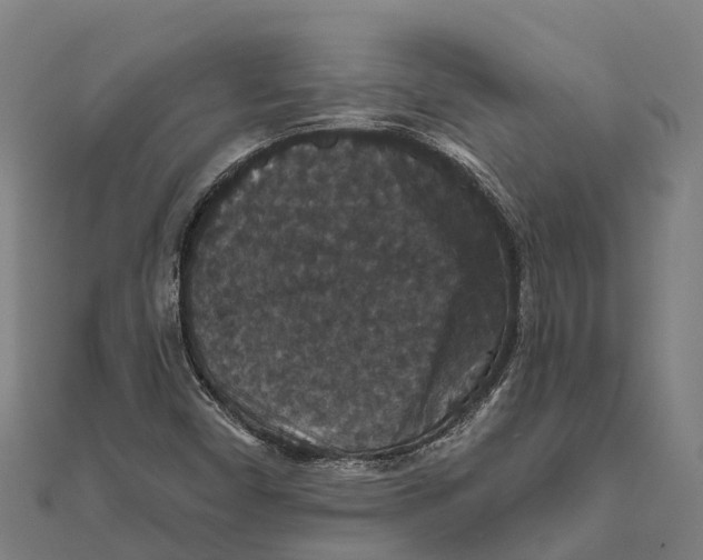 X0000111591450200908131330
