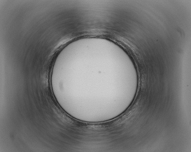 X0000111591451200908131330