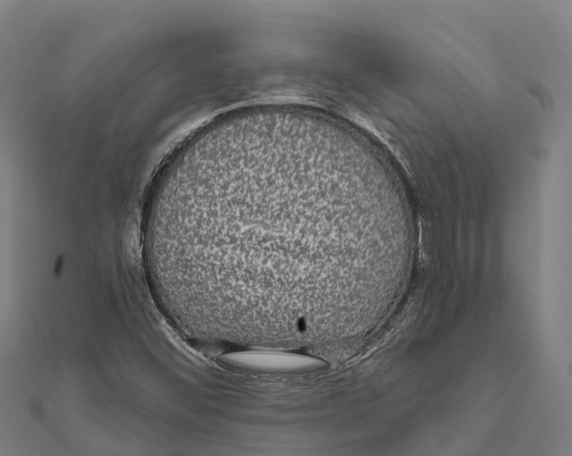 X0000111591452200908131330