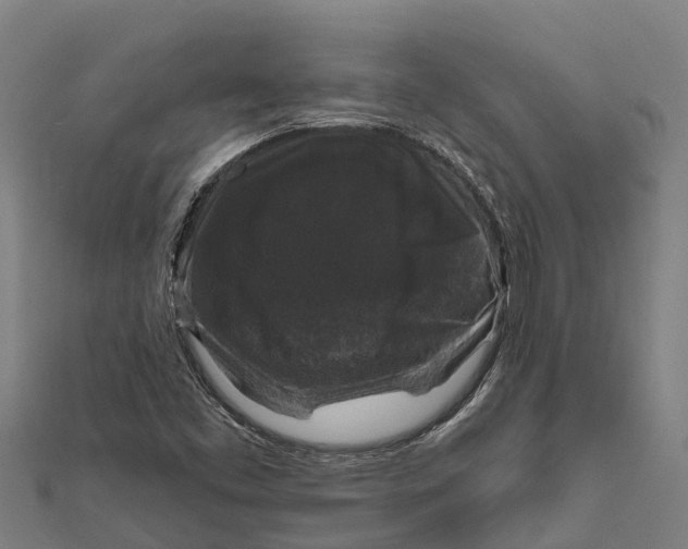 X0000111591453200908131330