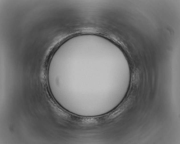 X0000111591454200908131330