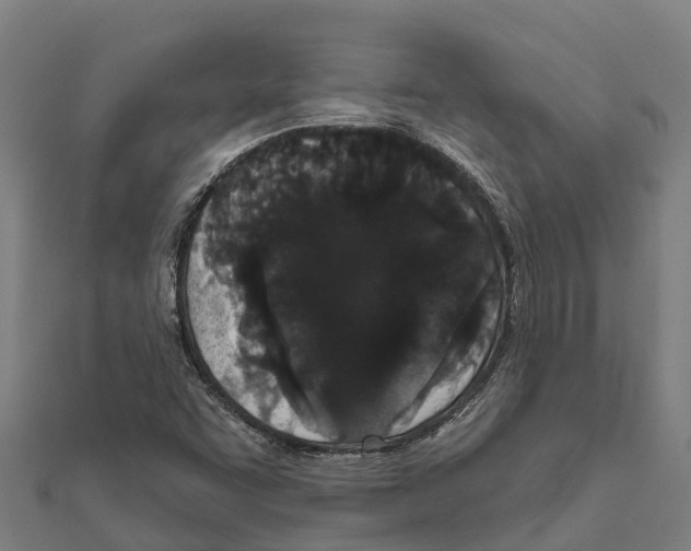 X0000111591455200908131330