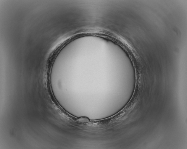 X0000111591456200908131330