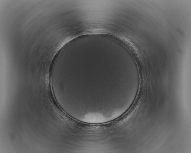 X0000111591457200908131330