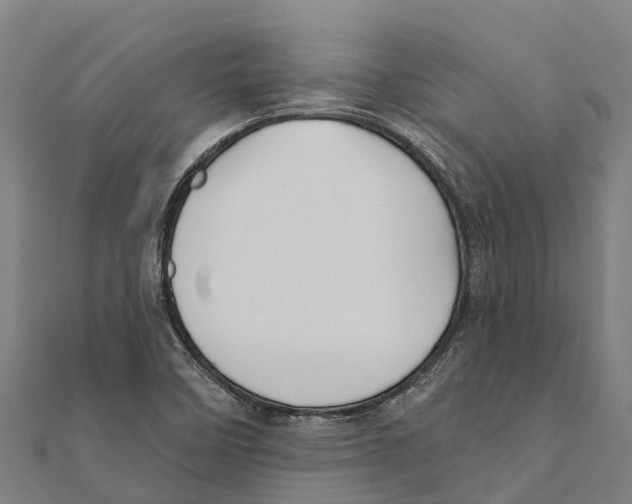 X0000111591458200908131330