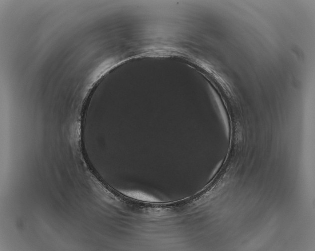 X0000111591459200908131330
