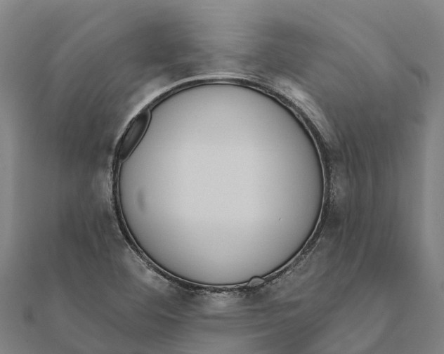 X0000111591460200908131330