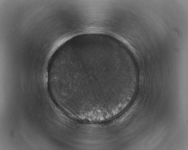 X0000111591461200908131330