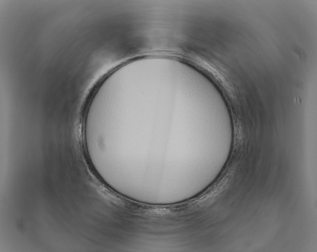 X0000111591462200908131330
