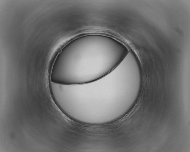 X0000111591464200908131330
