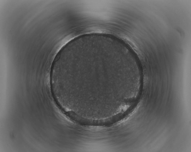 X0000111591465200908131330