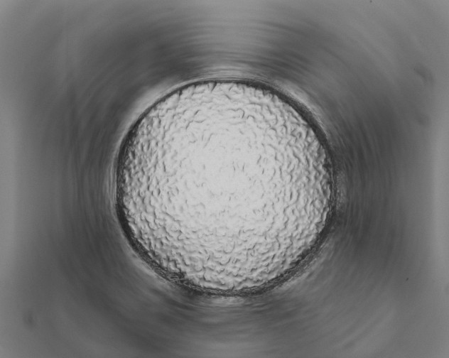 X0000111591467200908131330