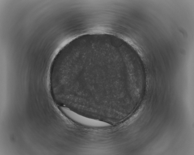 X0000111591469200908131330