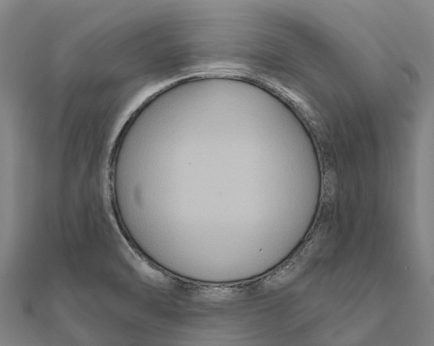X0000111591470200908131330