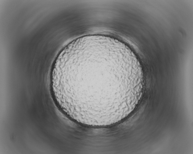 X0000111591471200908131329