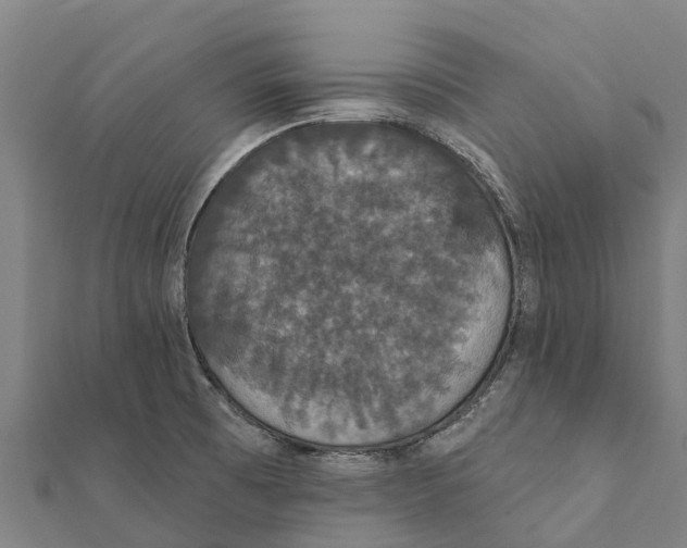 X0000111591473200908131329