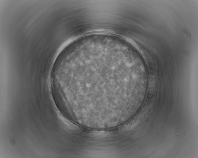 X0000111591474200908131329