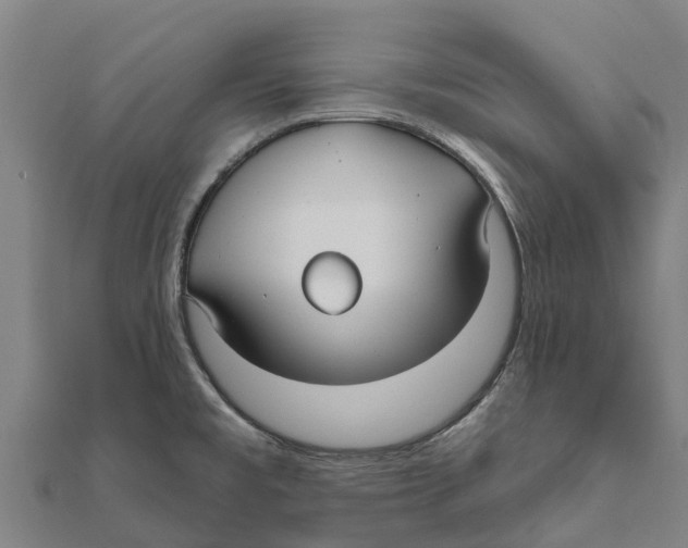 X0000111591477200908131329