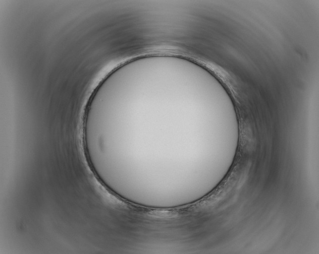 X0000111591478200908131329