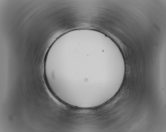 X0000111591479200908131329