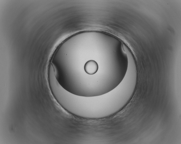 X0000111591480200908131329