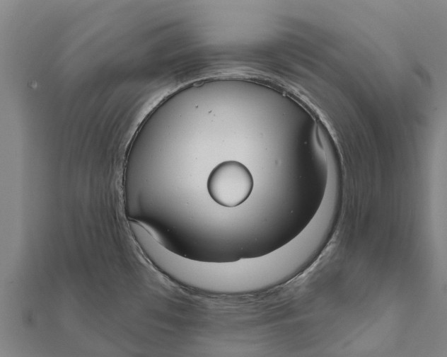 X0000111591481200908131329