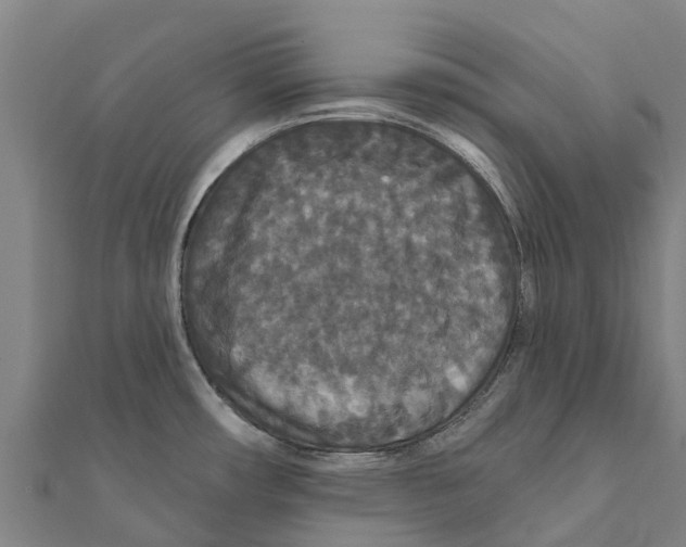 X0000111591482200908131329