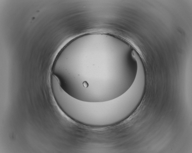 X0000111591484200908131329