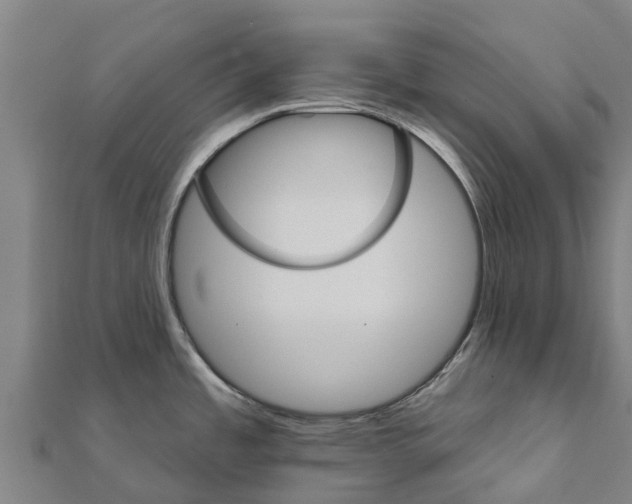 X0000111591485200908131329