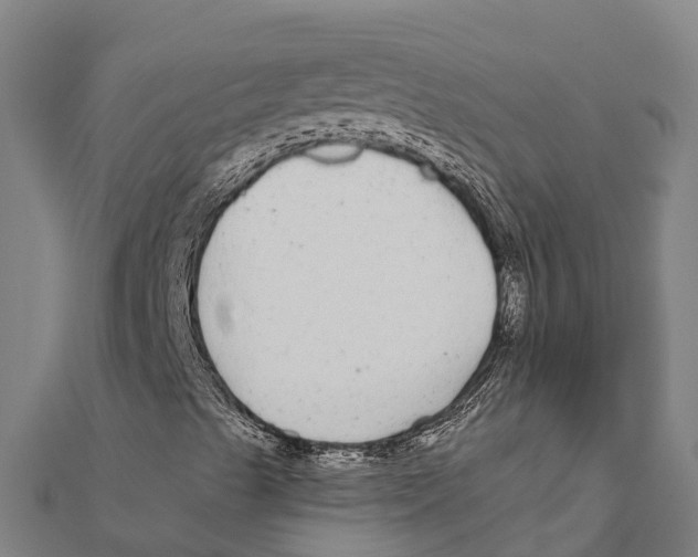 X0000111591489200908131329