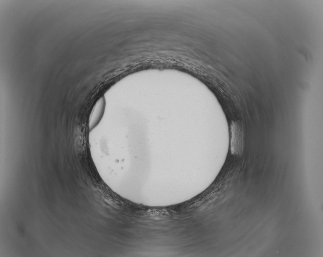 X0000111591491200908131329